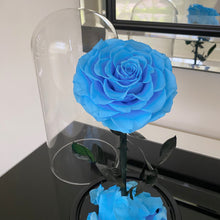 Forever Rose - Light Blue