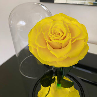 Mini Forever Rose - Yellow