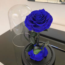 Mini Forever Rose - Dark Blue