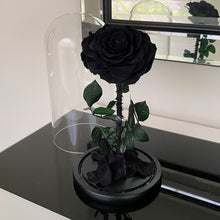 Forever Rose - Black