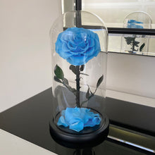 Forever Rose - Light Blue