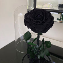 Forever Rose - Black