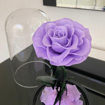 Mini Forever Rose - Light Purple